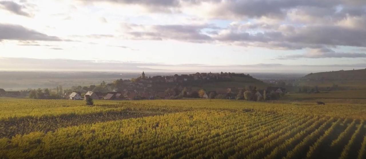 Le Vent D'Ange Villa Zellenberg Luaran gambar